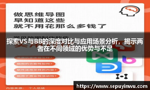 探索VS与BB的深度对比与应用场景分析，揭示两者在不同领域的优势与不足